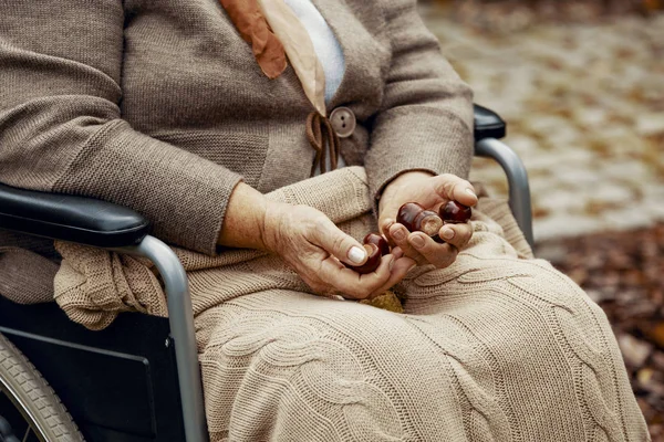 Close Senhora Sênior Cadeira Rodas Com Castanhas Suas Mãos — Fotografia de Stock