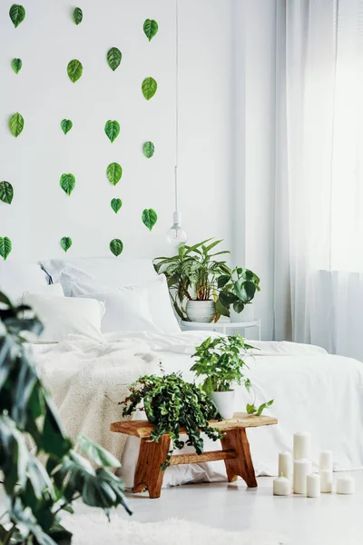 绿色植物在罐在木长凳旁边白色蜡烛在时尚的卧室内部 — 图库照片