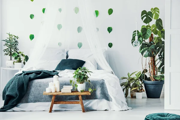 Двуспальная Кровать Белым Изумрудно Зеленым Постельным Бельем Серым Одеялом Балдахином — стоковое фото