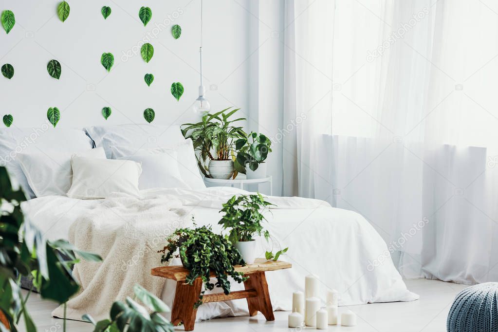 Green leafs on white wall of bright bedroom interior with urban jungle and king size bed with white bedding