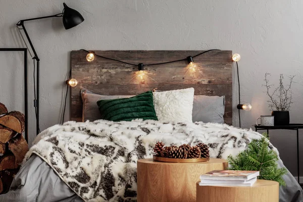 Işıklar Ladin Koniler Ile Tasarım Noel Yatak Odası — Stok fotoğraf