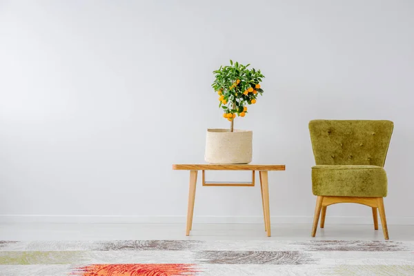 Copiar Espaço Parede Branca Elegante Sala Estar Com Laranjeira Mesa — Fotografia de Stock