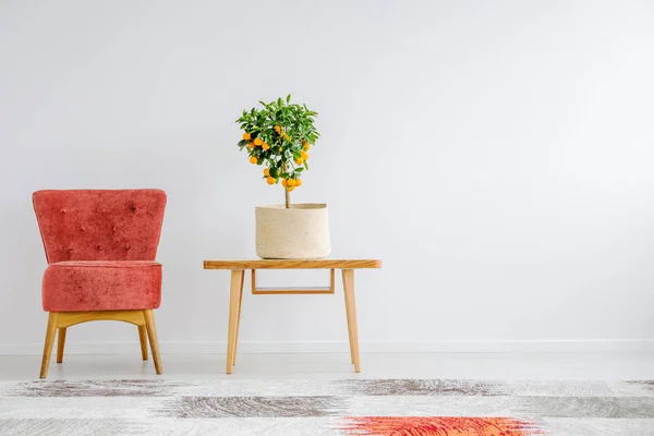 Schattige Oranje Boom Houten Salontafel Naast Aardbei Rode Fauteuil Smaakvolle — Stockfoto