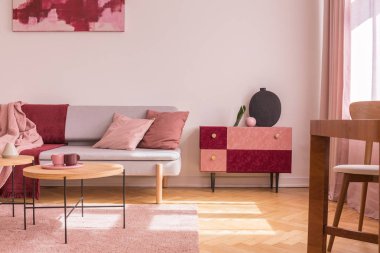 Pastel pembe yastık ve battaniye ile rahat gri kanepe yanında siyah şık vazo ile süslü süet kaplı dolap