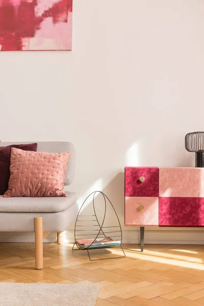 Fancy Magazine Rack Fashionable Burgundy Pastel Pink Cabinet Grey Stylish — Stock Photo, Image