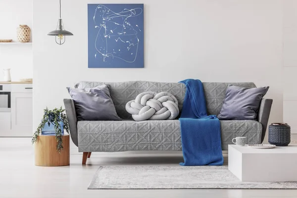 Modrá Přikrývka Šedá Poduška Módní Pohovce Elegantní Obývací Místnosti — Stock fotografie