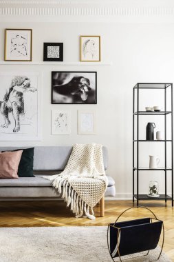 Parlak oturma odası iç posterlerin altında gri kanepe üzerinde battaniye ve yastıklar. Gerçek fotoğraf