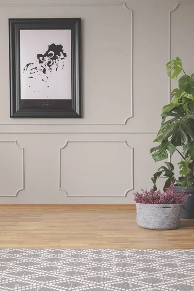 Rośliny i dywan w szarym salonie wnętrze z plakatem na ścianie z formowania. Prawdziwe zdjęcie — Zdjęcie stockowe