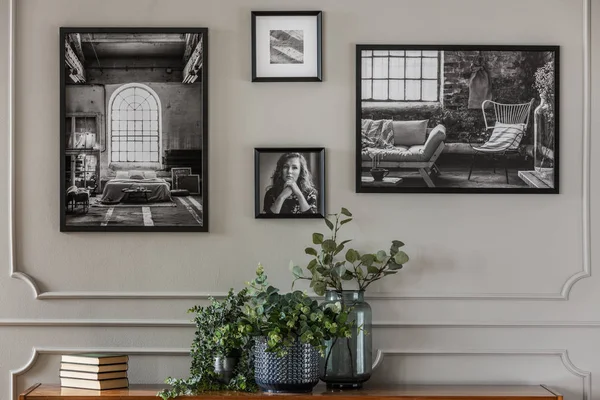 Černobílé obrázky na šedé stěně s rozběpací nad zelenými rostlinami ve skleněné váze — Stock fotografie