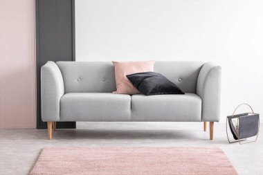 Pastel pembe-siyah tasarımı zarif salon iç rahat kanepe ile kopya alanı ile gerçek fotoğraf