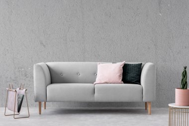 Yastık ve gazete ile gri kanepe ile sade oturma odası iç altın masada bitki. Gerçek fotoğraf