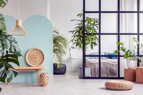 Jungle urbaine dans un appartement ouvert à la mode intérieur avec mur de mullions — Photo