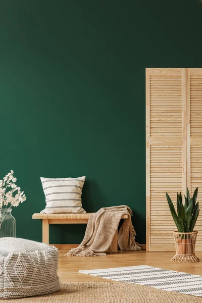 Деревянная скамейка с бежевым ковром и полосатой подушкой рядом с деревянным экраном и растением в кастрюле, пространство для копирования на пустой зеленой стене — стоковое фото
