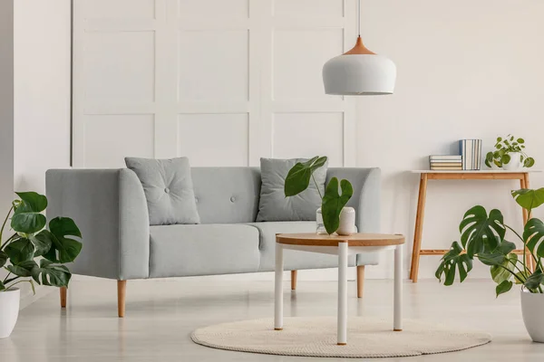 Sofá gris en un salón interior blanco con plantas. Foto real — Foto de Stock