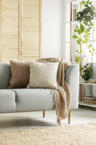 Pastellkissen auf einem Sofa in einem gemütlichen Wohnzimmer Interieur. echtes Foto — Stockfoto