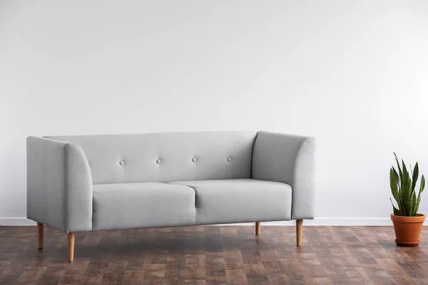 Grey sofa next to plant on wooden floor in minimal living room interior with copy space. Real photo — Stock Photo, Image