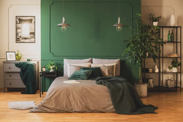 Industrial bookshelf and wooden commode in contemporary bedroom interior with urban jungle — Stock Photo, Image