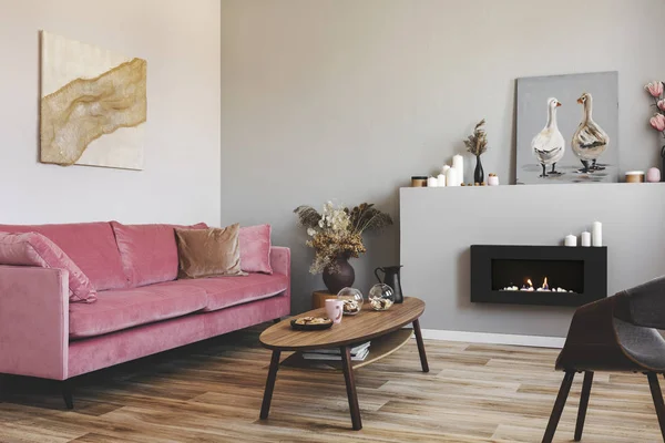 Målningar på väggarna i grå vardagsrum inredning med rosa soffan och bio spis — Stockfoto