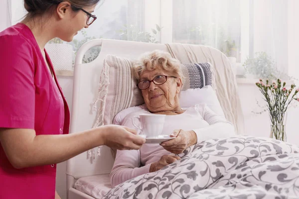 Positieve senior patiënt liggend in ziekenhuisbed met nuttige verpleegster in roze uniform op haar site — Stockfoto