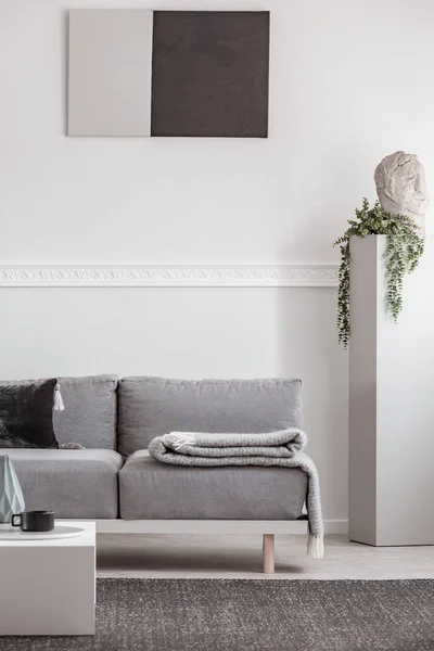 Manta gris y almohada negra en un cómodo sofá en el elegante interior de la sala de estar —  Fotos de Stock