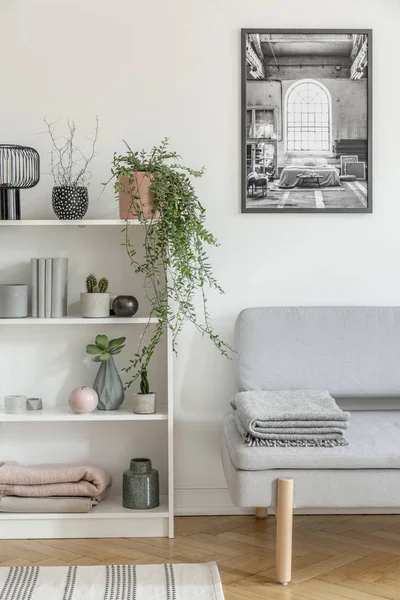 Άσπρο ξύλινο ράφι με γκρι φυτό, βιβλία και βάζα δίπλα στο γκρί καναπέ με κουβέρτα — Φωτογραφία Αρχείου