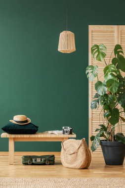 Lamp above wooden stool and bag next to plant in green flat interior with hat. Real photo clipart