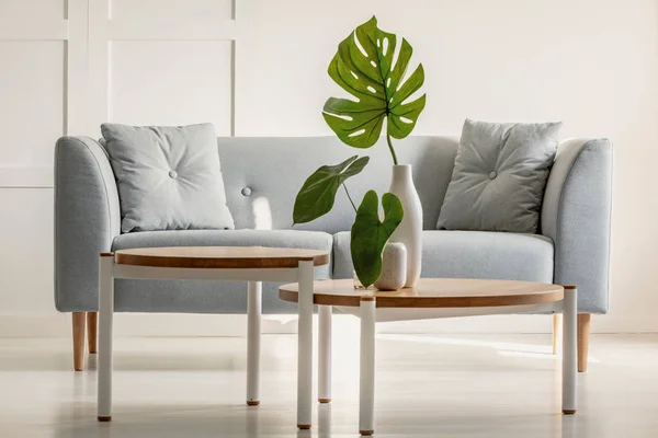 Foto real de uma sala de estar interior simples com uma mesa de café com uma planta — Fotografia de Stock