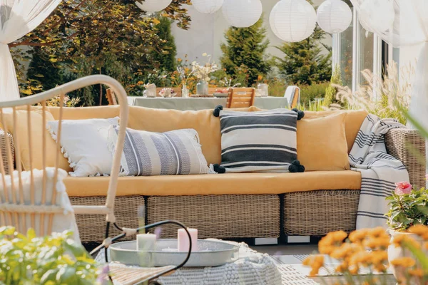 Настоящая фотография желтого, садового дивана со столом и лепестками на заднем плане. Крупный план растений — стоковое фото