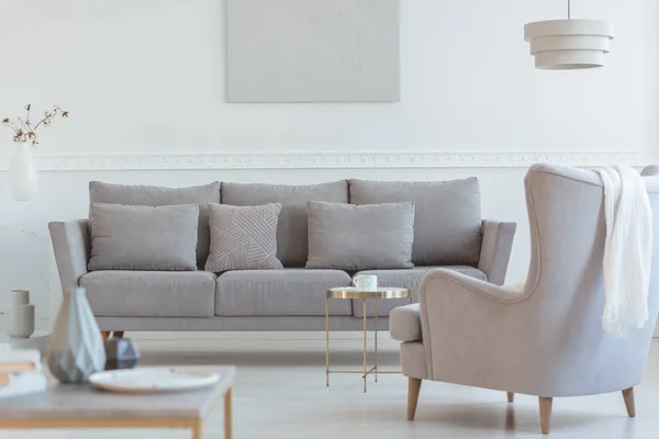 Interno soggiorno bianco e grigio con comodo divano scandinavo — Foto Stock
