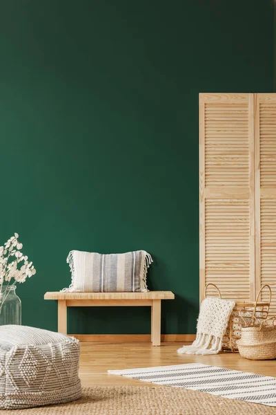 Подушка на стуле между цветами и экраном в зеленом интерьере гостиной с пуфом и ковром. Настоящее фото — стоковое фото