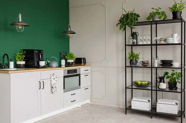 Элегантный серый и зеленый интерьер кухни с городскими джунглями — стоковое фото