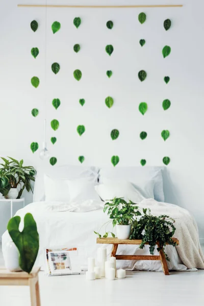 居心地の良いベッドルームのインテリアの白い壁に緑の葉 — ストック写真