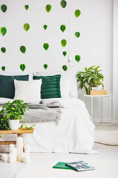 Green pillows and grey blanket on white bed, plant in pot on nightstand — Stock Photo, Image