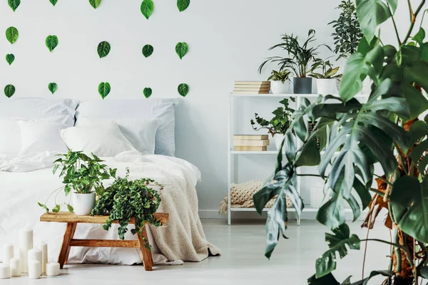 Αστικός ζούγκλα στο μοντέρνο υπνοδωμάτιο εσωτερικό με λευκό ξύλινο ράφι με βιβλία και κρεβάτι King size με λευκά κλινοσκεπάσματα — Φωτογραφία Αρχείου
