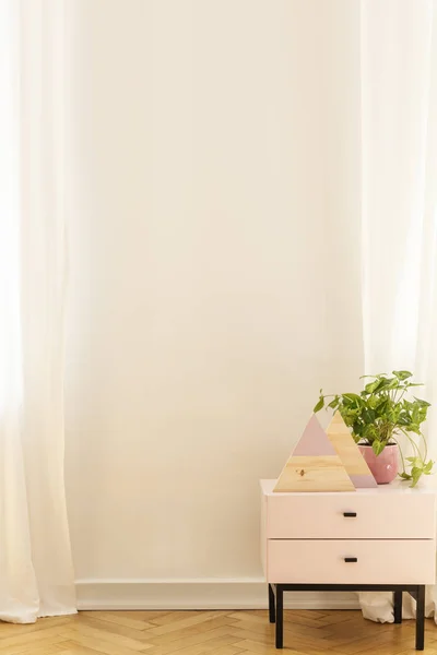 空の壁にコピースペースで白いミニマルなアパートの内部にピンクのキャビネットの上に植物。リアルフォト — ストック写真