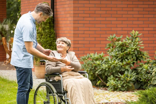 Смотритель дает чашку чая счастливой парализованной пожилой женщине в инвалидном кресле — стоковое фото
