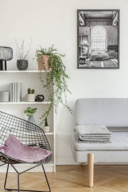 Battaniye ve ahşap kitaplık ile gri kanepe yanında siyah fantezi sandalyede Mor yastık