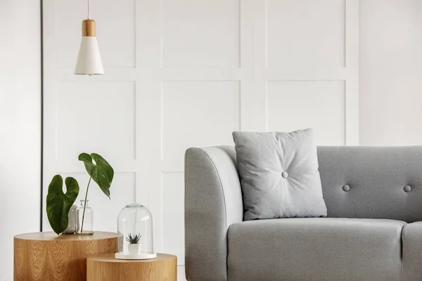 Современный интерьер гостиной с серым диваном и деревянными деталями — стоковое фото