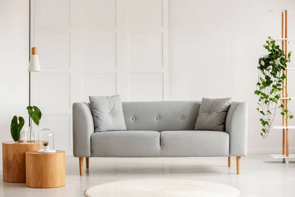 Graues modernes Sofa in der Mitte des Wohnzimmers — Stockfoto