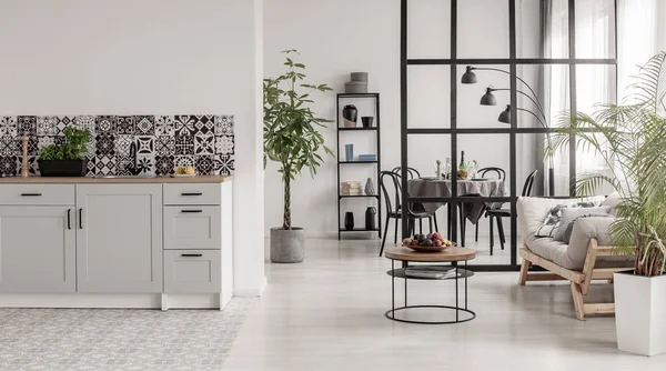 Dapur yang elegan dan ruang makan interior dengan desain hitam dan putih dan tanaman dalam pot beton — Stok Foto
