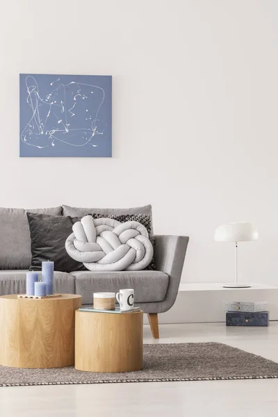 Comfortabele grijze bank in een elegante woonkamer interieur — Stockfoto