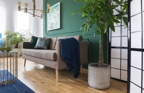 Plantas tropicais na moderna sala de estar elegante — Fotografia de Stock