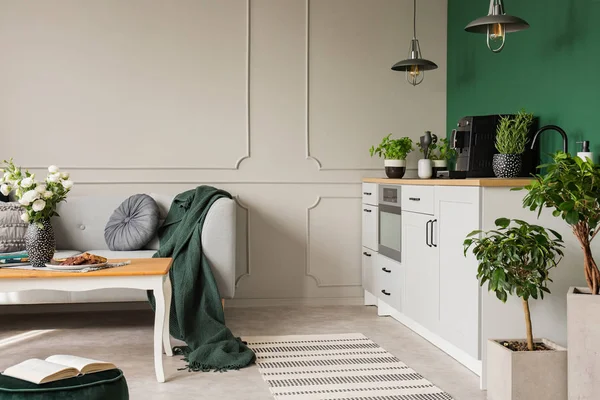 Kopírovat prostor na prázdné stěně malé kuchyně a interiéru obývacího pokoje — Stock fotografie