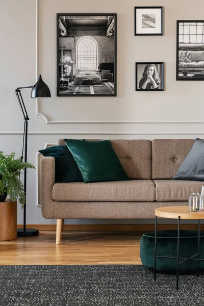 Poduszki na brązowej kanapie w modnym wnętrzu salonu z czarno-białymi plakatami na ścianie — Zdjęcie stockowe