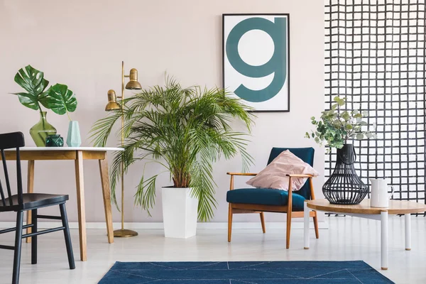 Planta de palma grande en maceta blanca en elegante salón y comedor interior con mesa redonda y sillón vintage con almohada rosa pastel — Foto de Stock