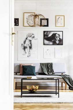 Posterler ile parlak oturma odası iç battaniye ile gri settee önünde Masa. Gerçek fotoğraf