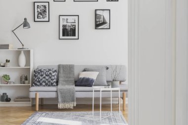 Yastık ve battaniye ile gri kanepe üzerinde siyah beyaz fotoğraflar Galerisi