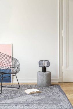 Şık beyaz oturma odası iç tenement ev ile şık siyah metal sandalye