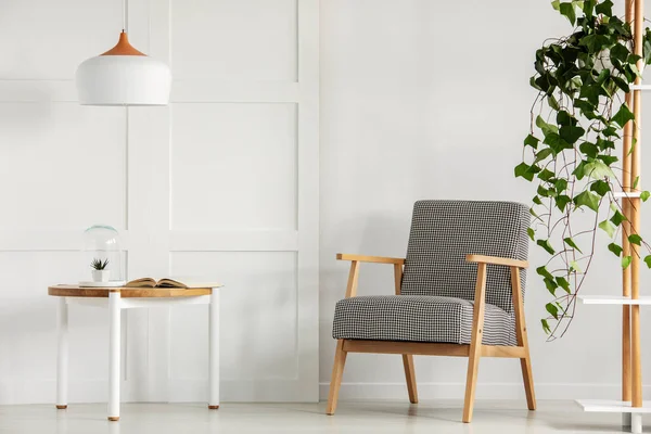 Zwart-wit fauteuil in moderne woonkamer — Stockfoto