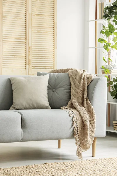 Närbild av grå soffa i modernt vardagsrum — Stockfoto